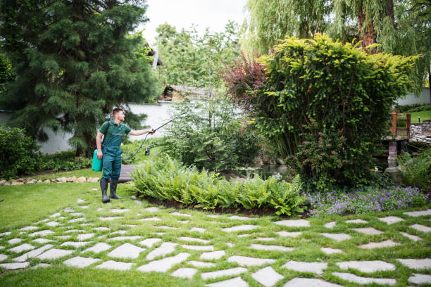 Best Pest Removal Services  in Shelby, MI