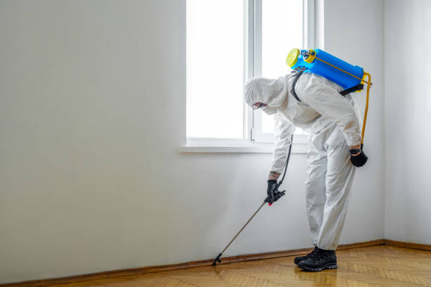 Best Exterminator Services  in Shelby, MI