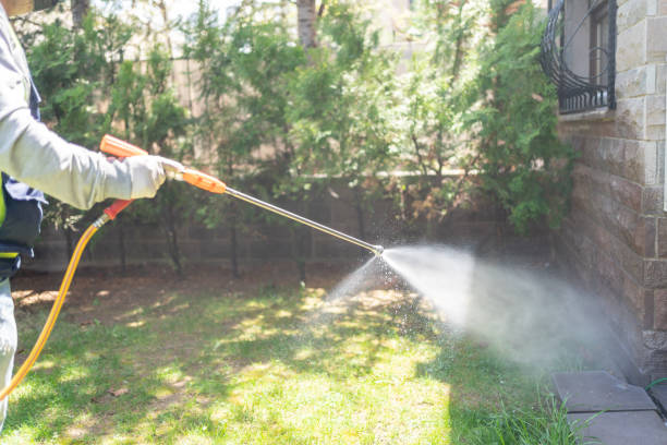 Best Best Pest Control Near Me  in Shelby, MI