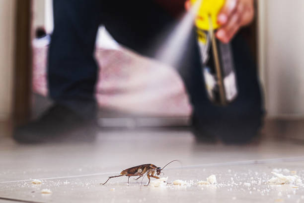 Best Local Pest Control Services  in Shelby, MI